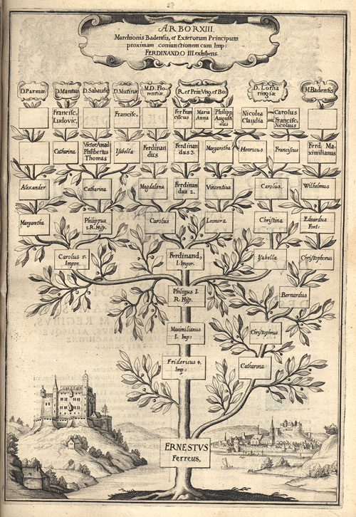 Warsztaty genealogiczne dla początkujących Warsztaty genealogiczne dla początkujących